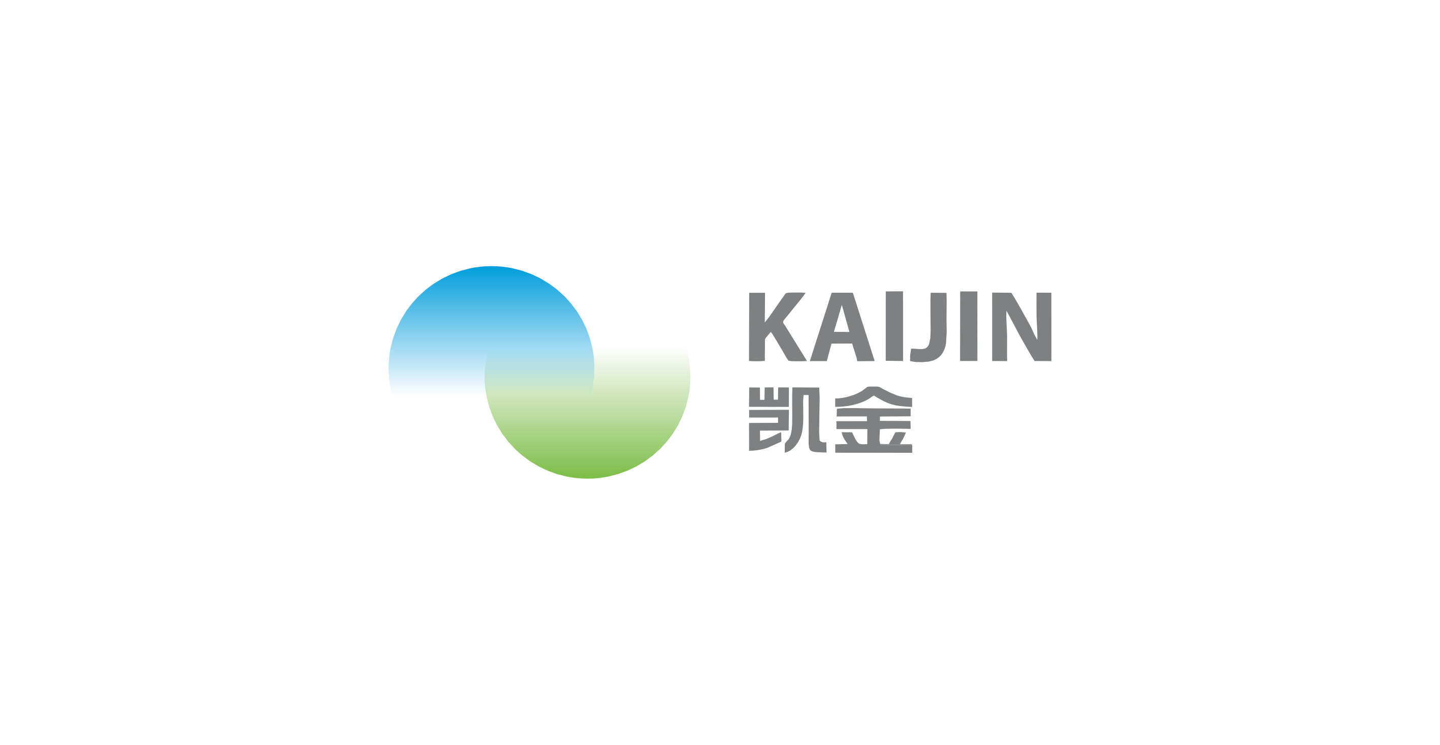 凯金新能源科技有限公司